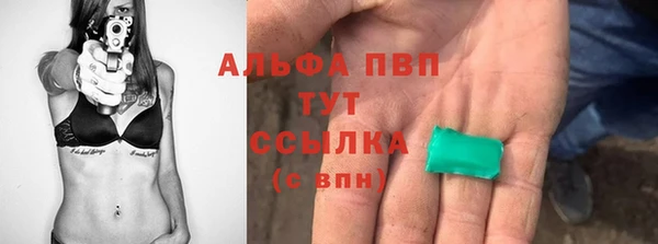 хмурый Алзамай