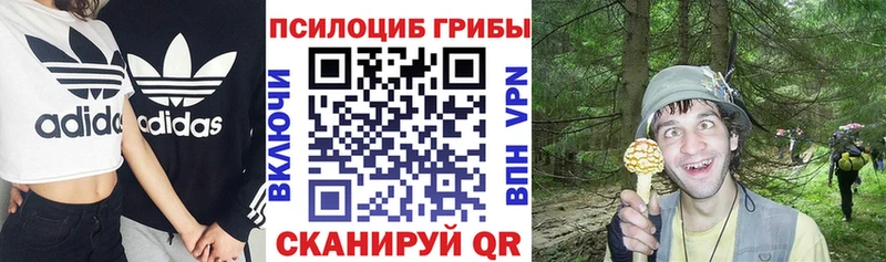 купить   Балаково  Галлюциногенные грибы Magic Shrooms 