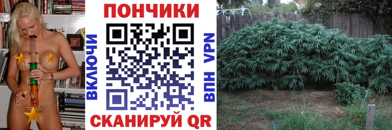 Канабис сатива  Балаково 